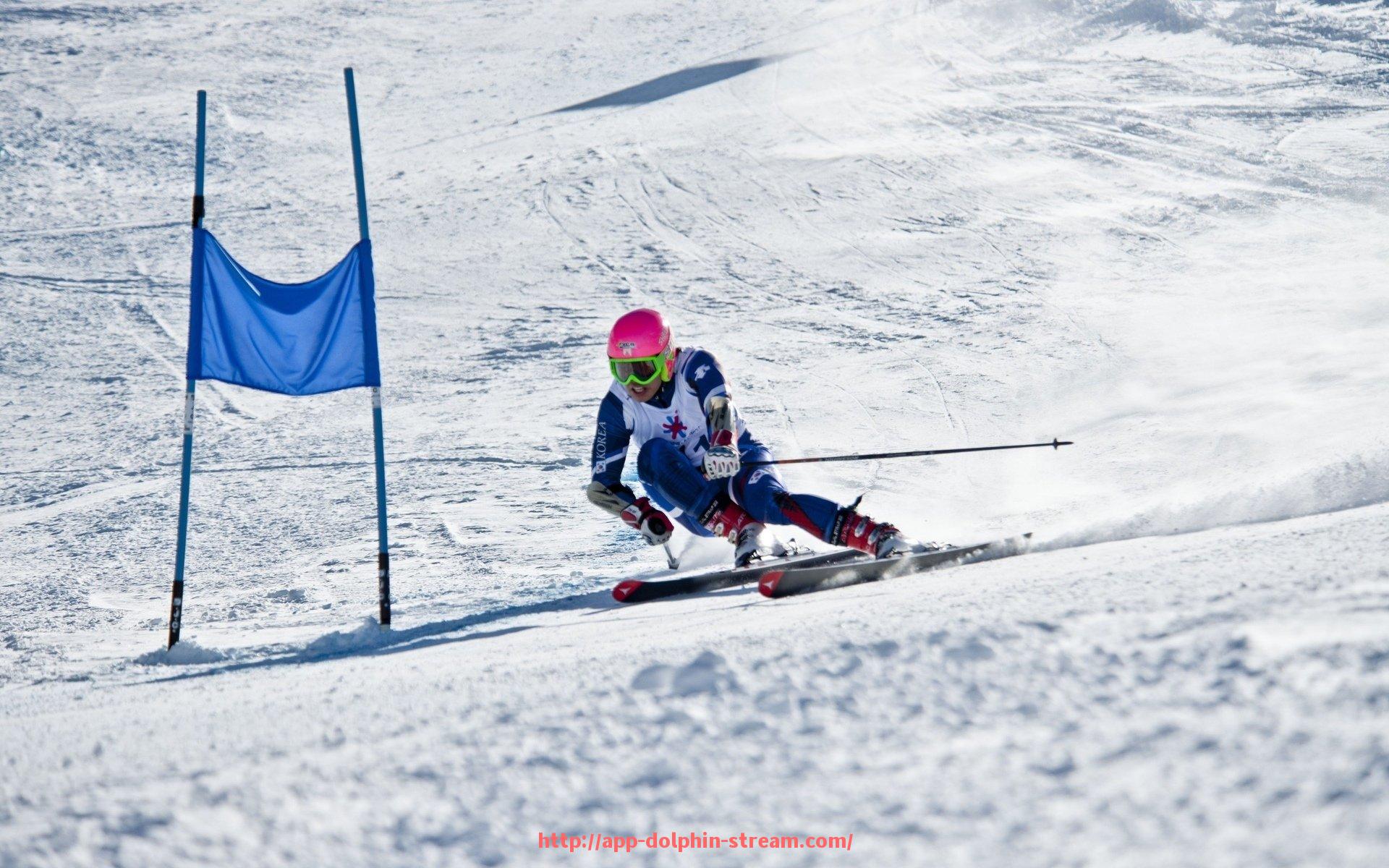 海豚直播-火箭队历史最佳战绩赛季盘点与回顾